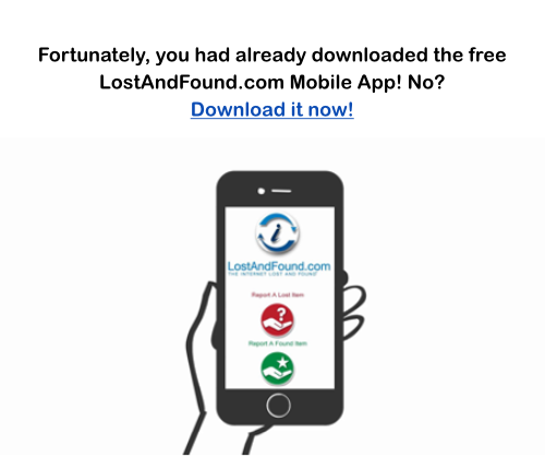 LostandFound.com